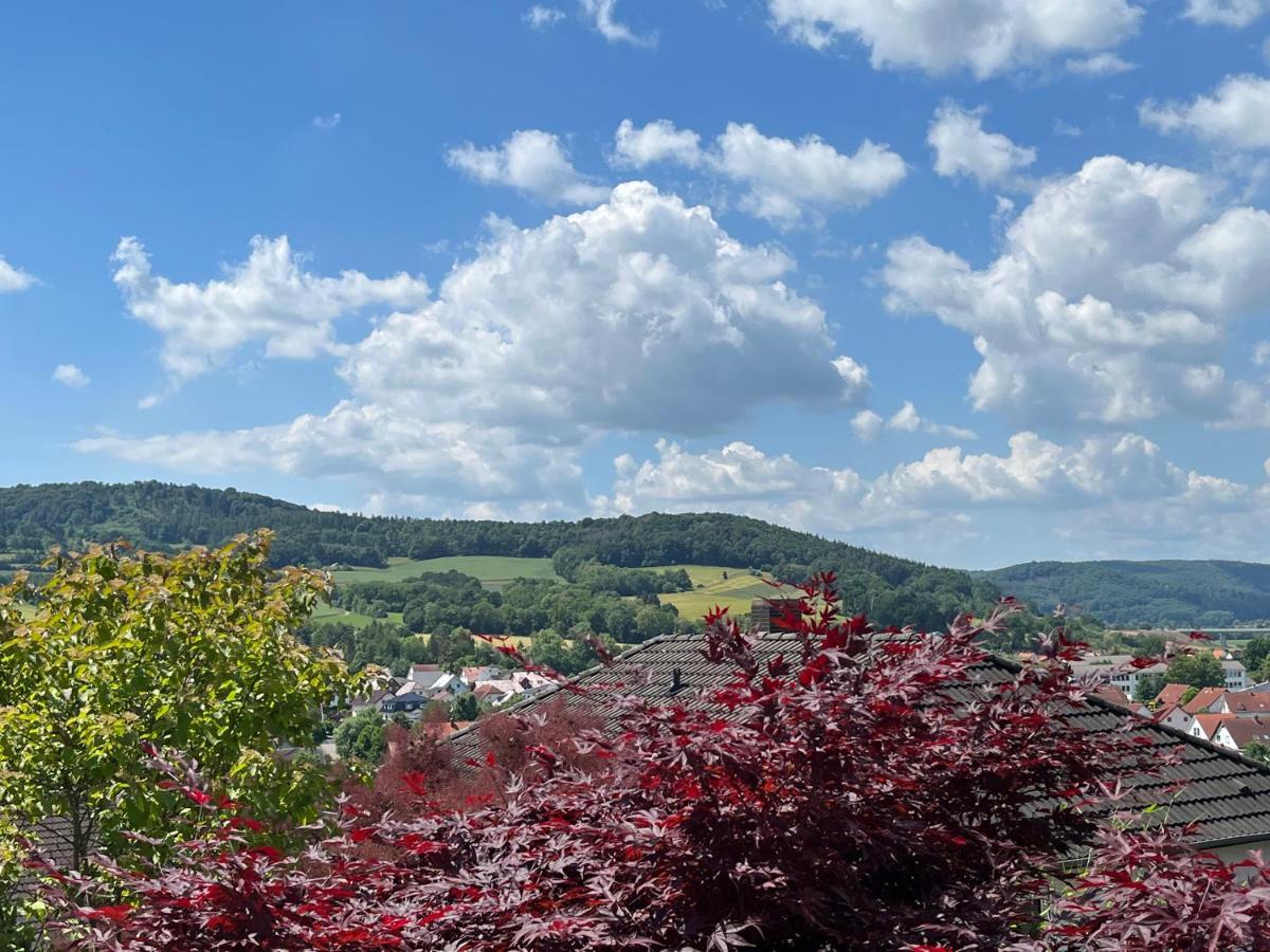 Spitzenbergblick Apartment Reichensachsen Bagian luar foto